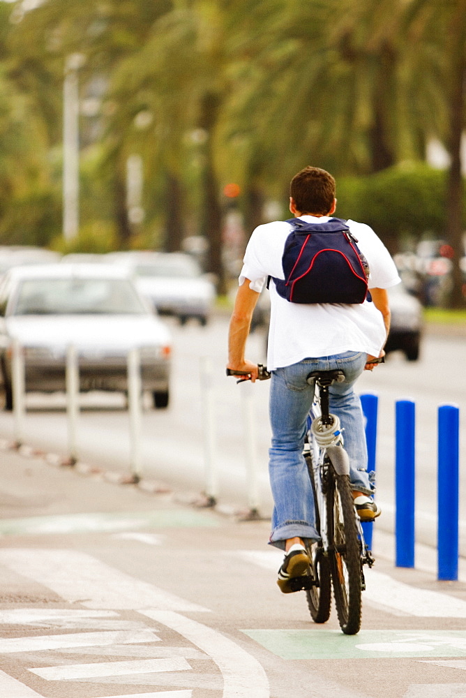 Rear view of a man riding a bicycle, Promenade des Anglais, Nice, Provence-Alpes-Cote D'Azur, France