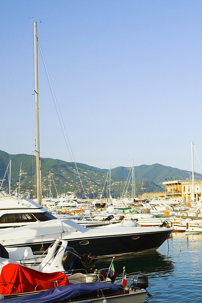 Boats at a harbor, Italian Riviera, Santa Margherita Ligure, Genoa, Liguria, Italy