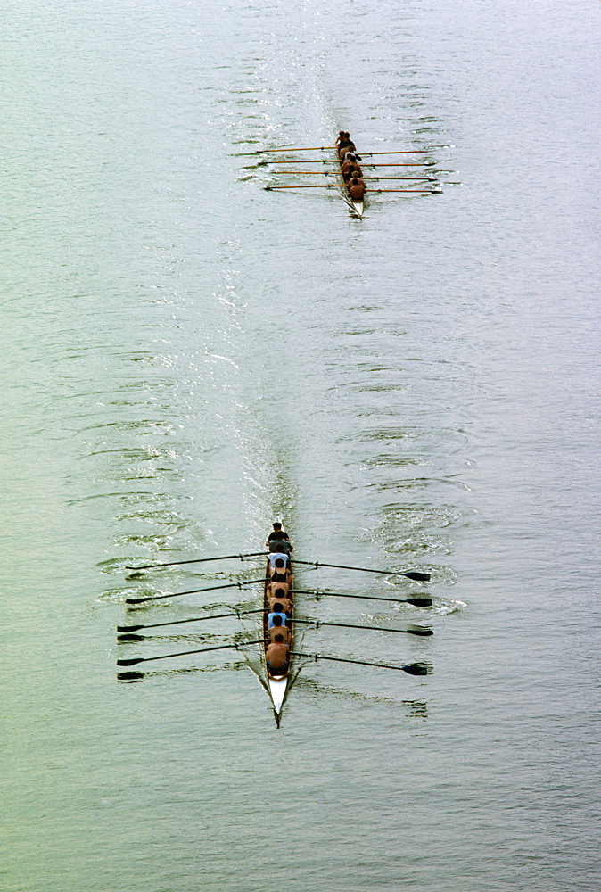 Aerial view of rowing team practicing on the river, Potomac River, Georgetown University, USA