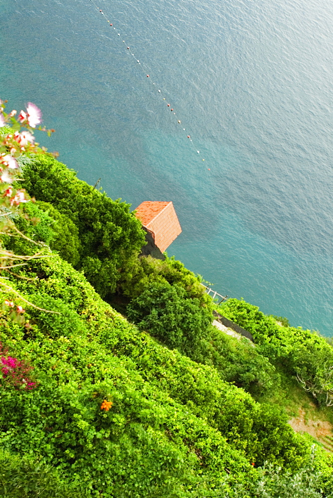 High angle view of trees at the hillside, Costiera Amalfitana, Salerno, Campania, Italy