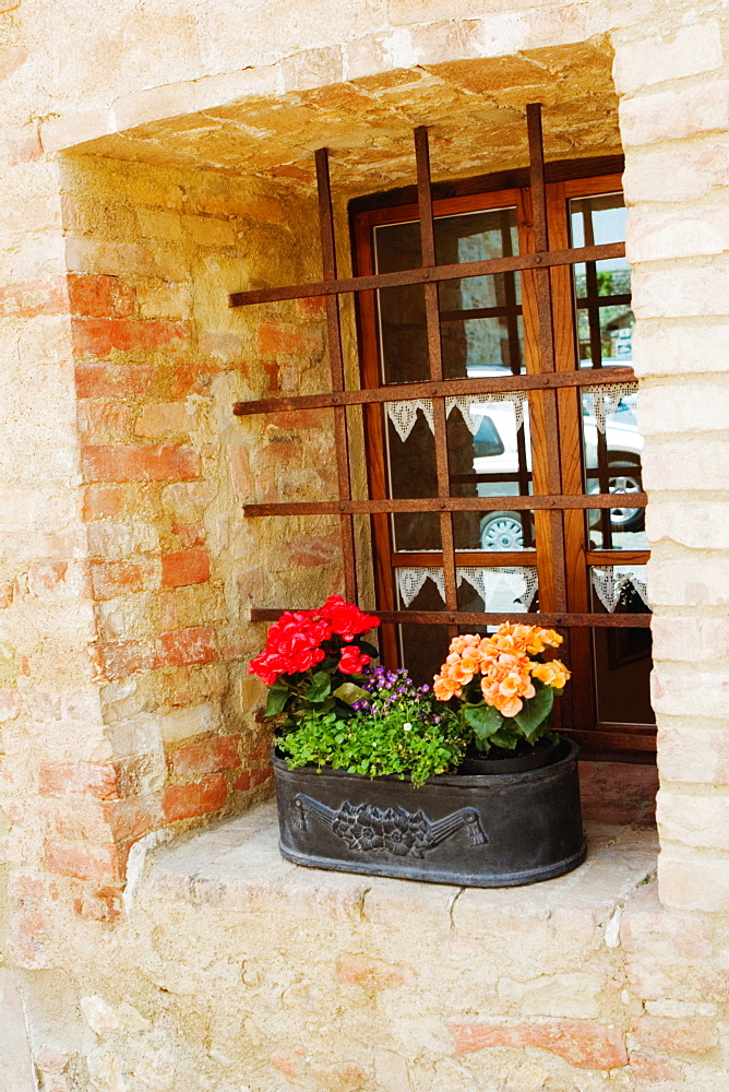 Flowers in a window box on a window sill, Monteriggioni, Siena Province, Tuscany, Italy