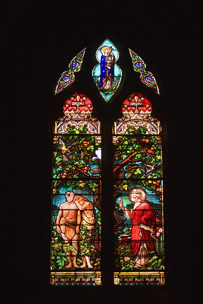 Stained glass window of a church, Eglise St Pierre, Bordeaux, Aquitaine, France