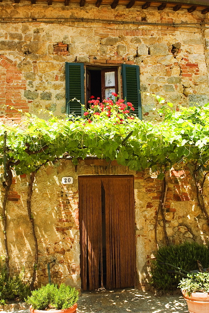 Potted plants in front of a building, Piazza Roma, Monteriggioni, Siena Province, Tuscany, Italy