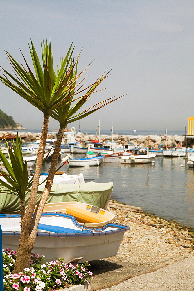 Boats at a harbor, Marina Grande, Capri, Sorrento, Sorrentine Peninsula, Naples Province, Campania, Italy