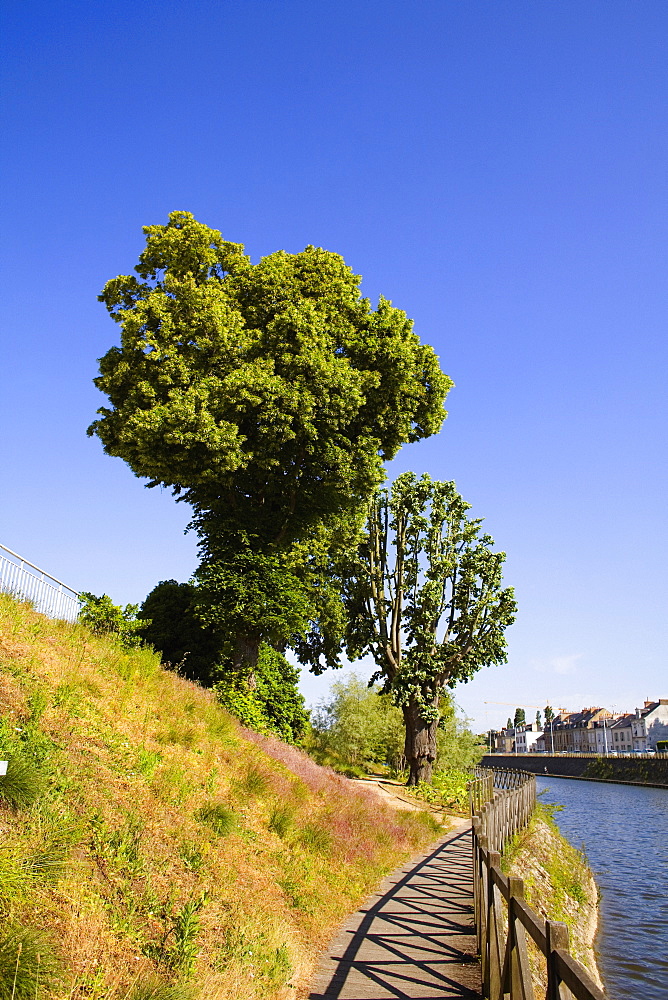 Wooden fence at the riverside, Sarthe River, Le Mans, Sarthe, France