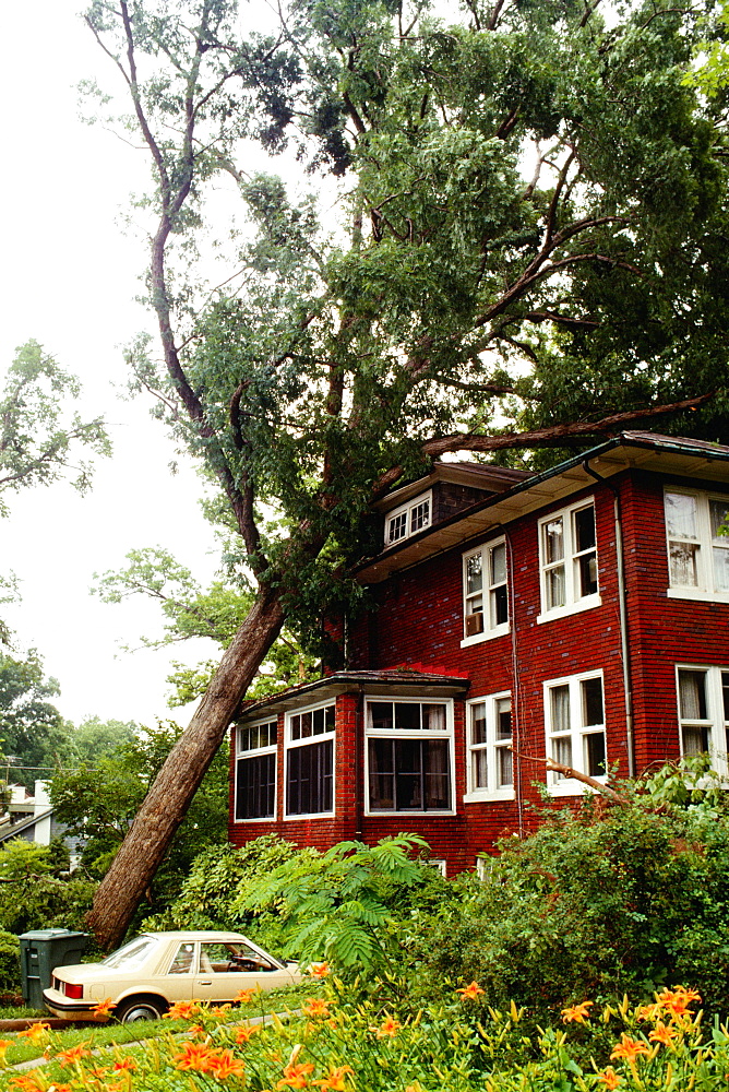 Fallen tree on a house, Washington DC, USA