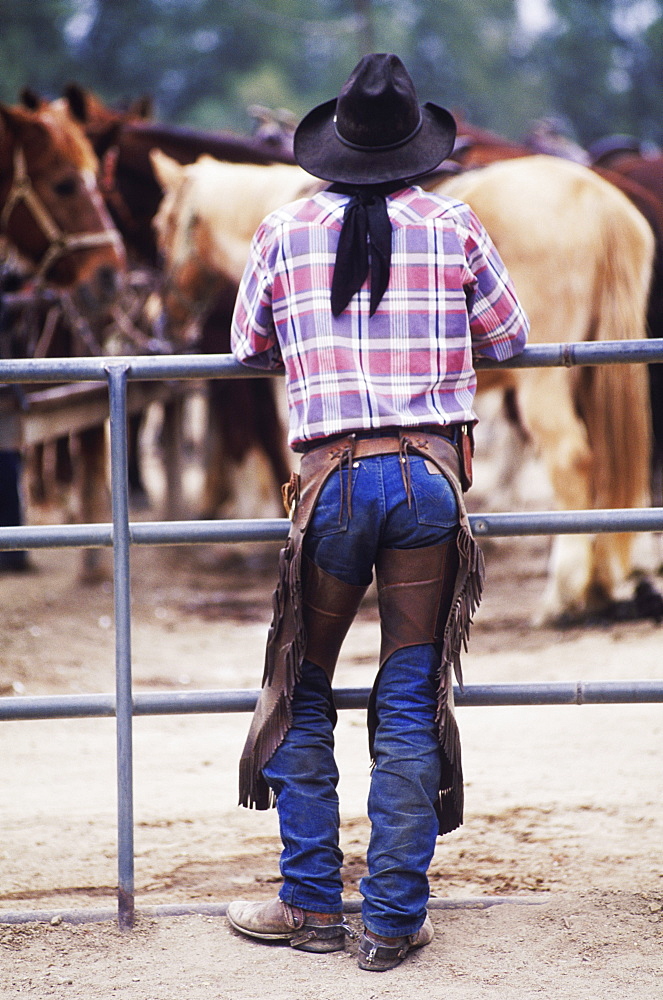 Rear view of a cowboy leaning against a railing