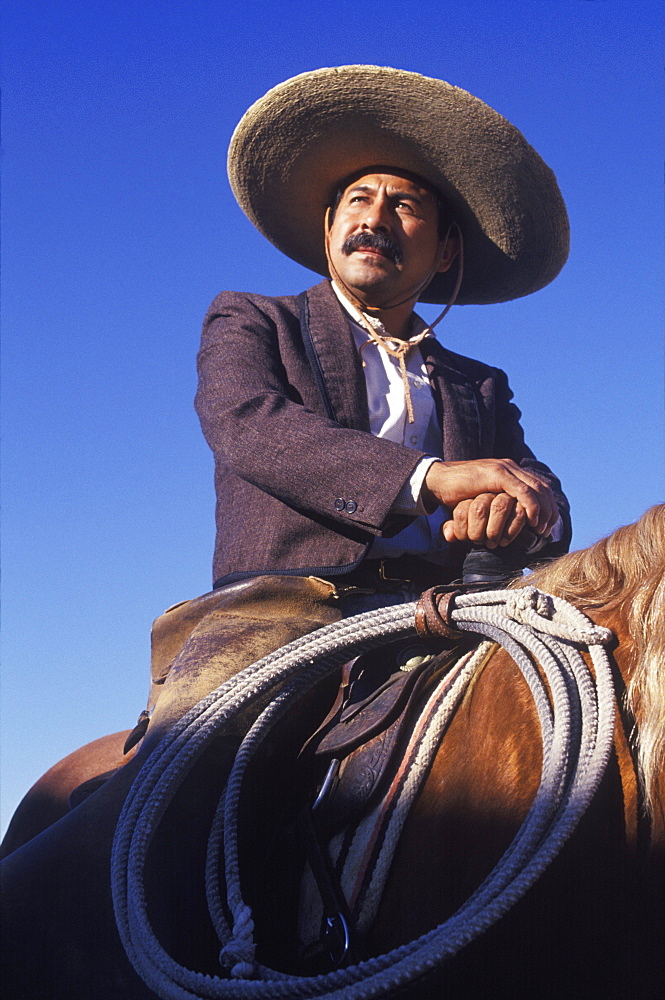 Low angle view of a cowboy sitting on a horse