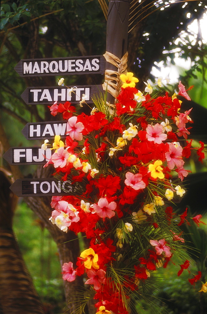 Close-up of a bunch of flowers and information boards, Hawaii, USA