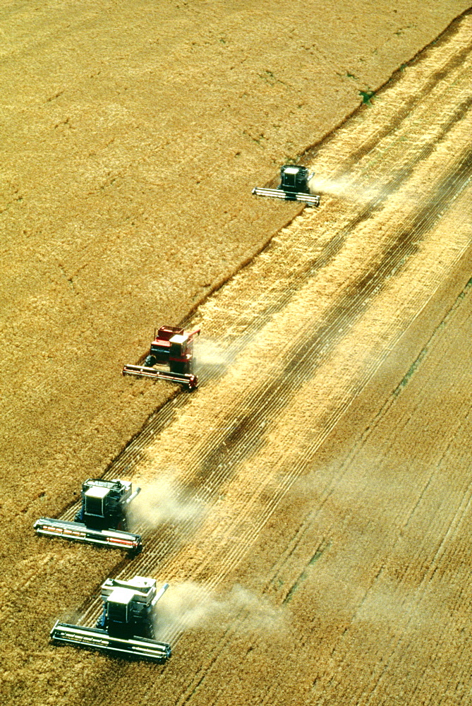 Aerial view of combines harvest wheat near Colorado