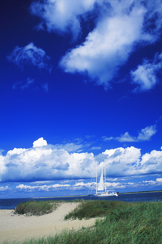 Sailboat in a river, Cape Cod, Massachusetts, USA 