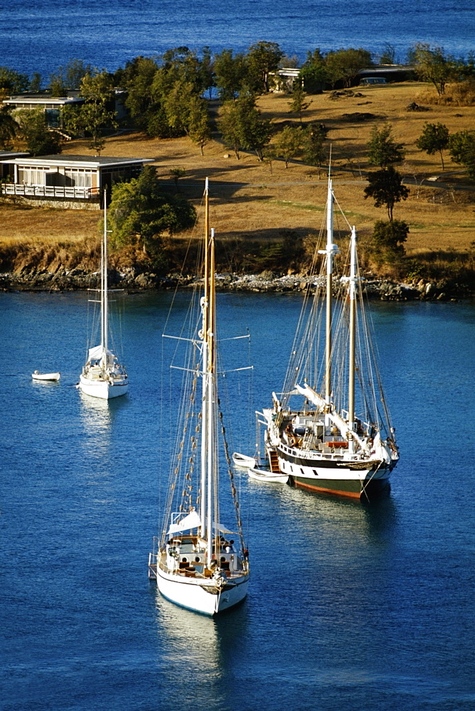 Sailboats at a harbor, Caneel Bay, St. John, U.S. Virgin Islands