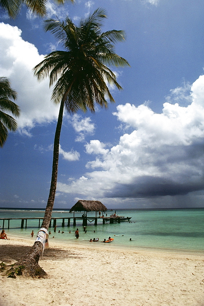 View of a scenic beach on a sunny day, Pigeon Point, Tobago, Caribbean