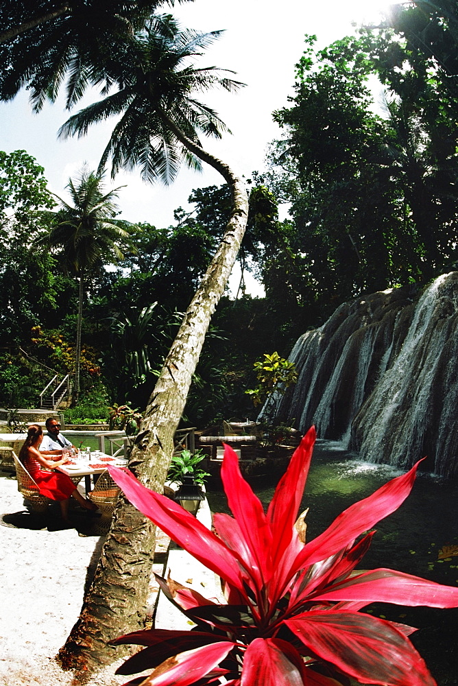 A woman relaxes under a palm tree near a waterfall, Jamaica