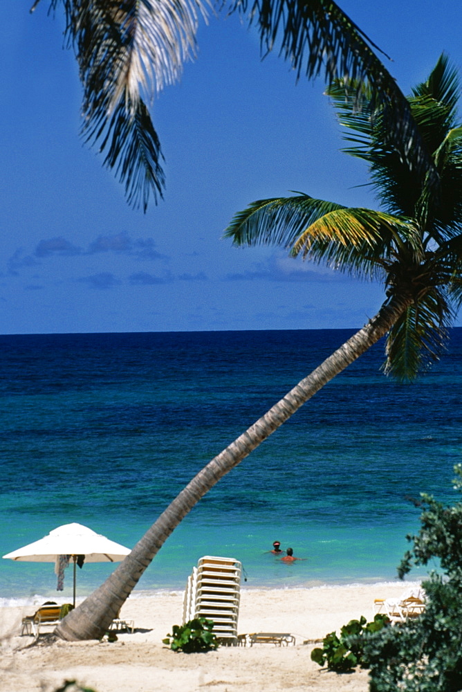 A couple swimming near a seashore, Carib, Saba, Virgin Islands