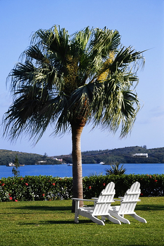 Two armchairs placed near a tree, Grotto bay, Bermuda