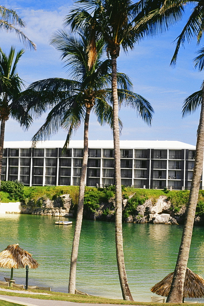 Front view of palm trees at Somesta hotel, Bermuda