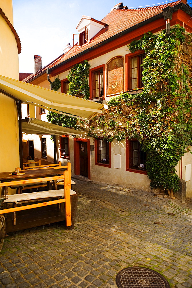 Rear view of a person sitting on a bench, Czech Republic