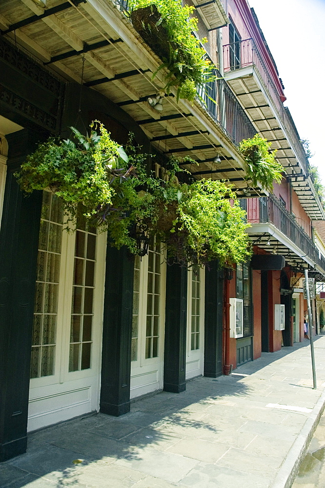 Hanging baskets on a building, New Orleans, Louisiana, USA