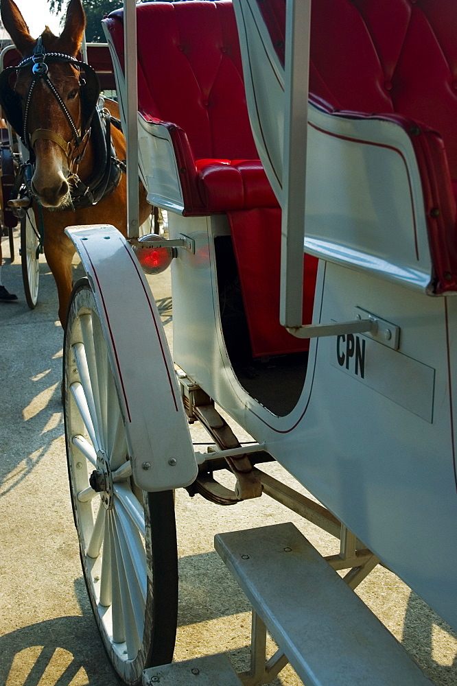 Close-up of a horse cart, New Orleans, Louisiana, USA