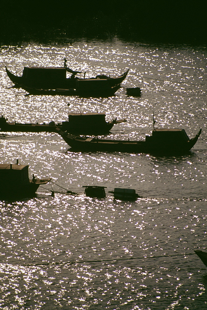 Fishing boats in the Saigon River Delta, Vietnam