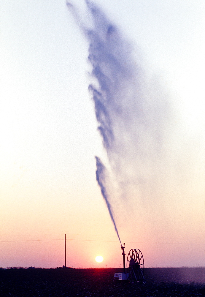 View of irrigation system for soy beans with sunset in the background, Texas