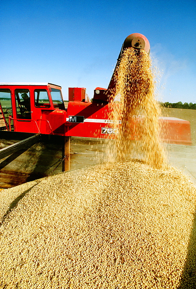 Close-up of combine loading soy beans into the truck, Midwest, USA