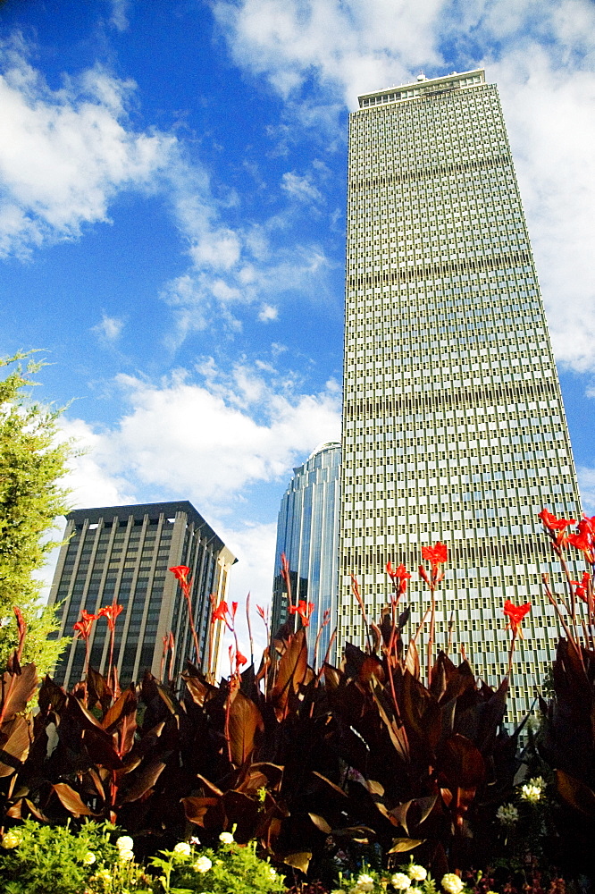 Low angle view of buildings in a city, Prudential Tower, Boston, Massachusetts, USA