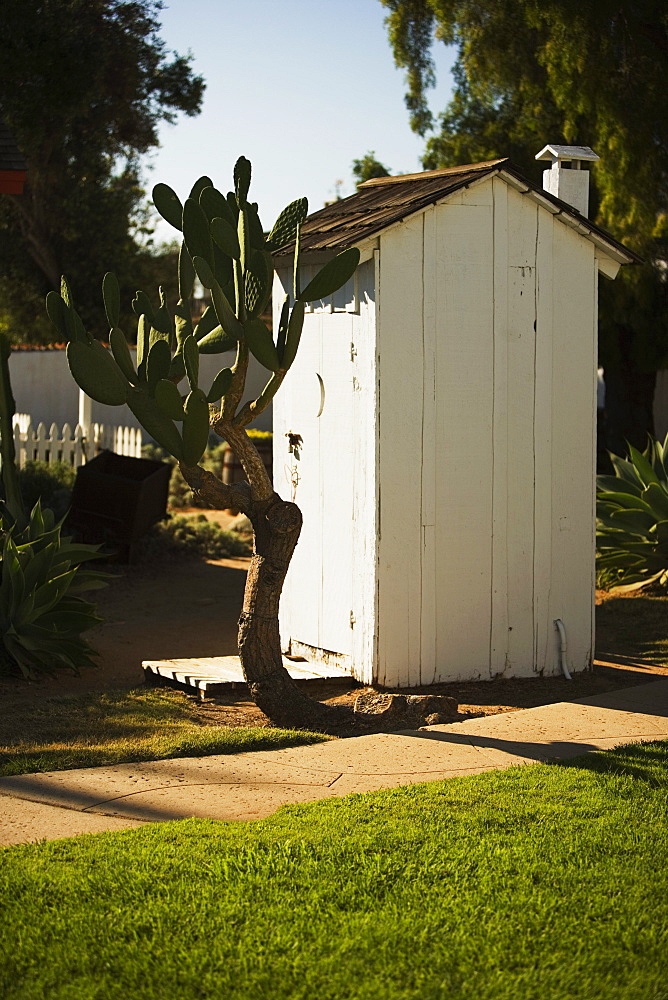 Cactus plant growing beside an outhouse, San Diego, California, USA