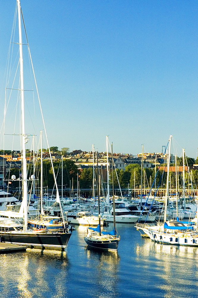 Boats docked at a harbor, Boston, Massachusetts, USA