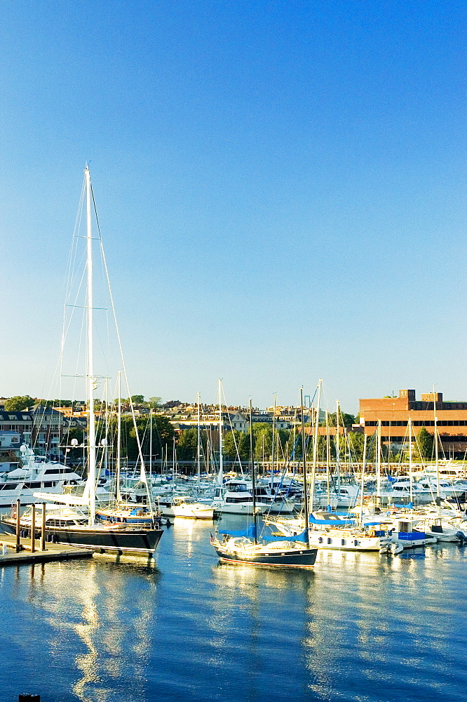 Boats docked at a harbor, Boston, Massachusetts, USA