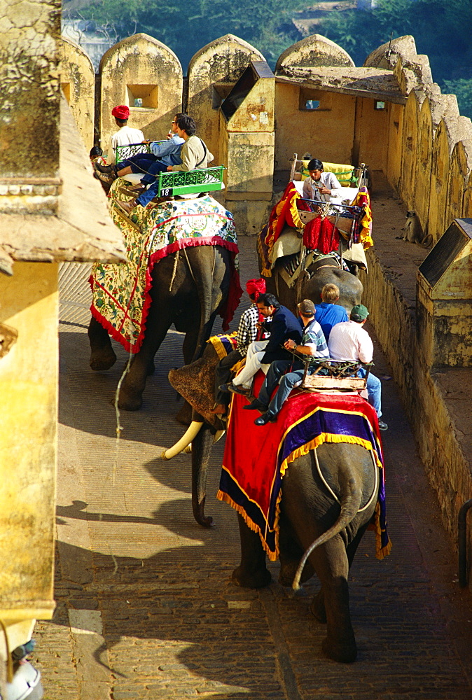 Tourists on elephants, Jaipur, Rajasthan, India