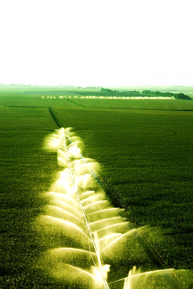 Sprinklers spraying water on a field