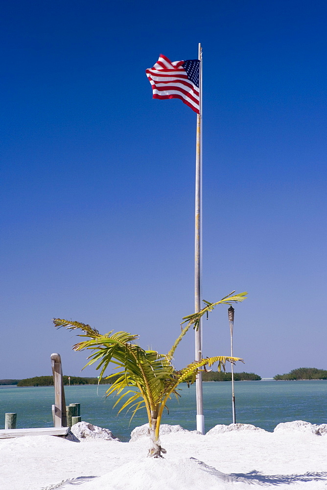 American flag on the beach near a palm tree, Miami, Florida, USA