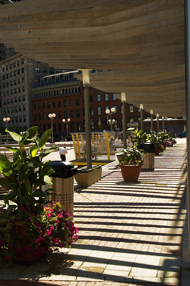 Potted plant in a corridor, City Hall Plaza, Boston, USA