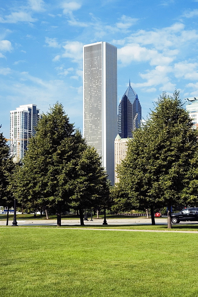 Trees in a park, Gateway Park, Chicago, Illinois, USA