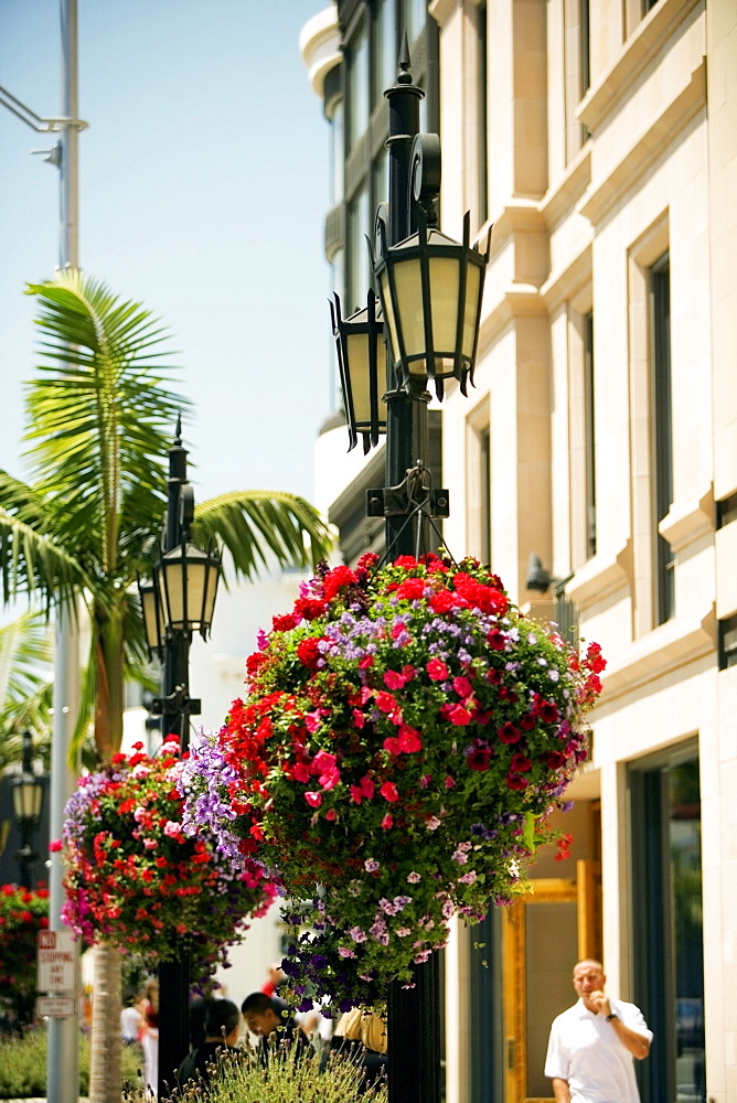 Ornate street light on a street, Rodeo Drive, Los Angeles, California, USA