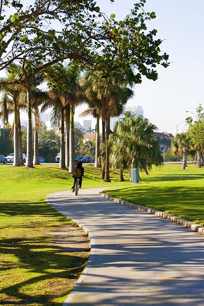 Rear view of a person cycling on a walkway, Miami, Florida, USA