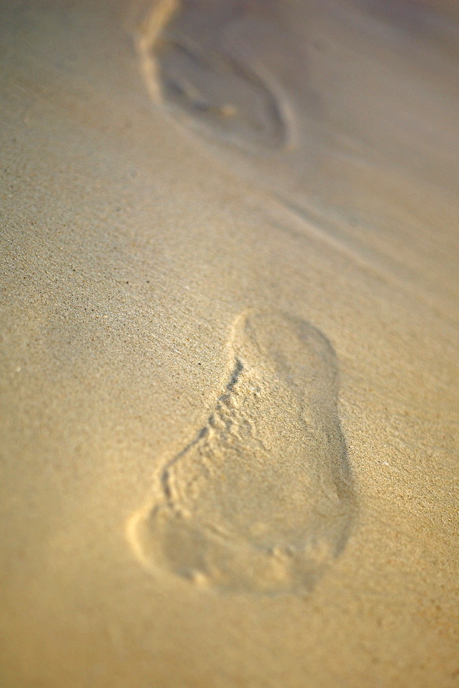 Close-up of a footprint in the sand