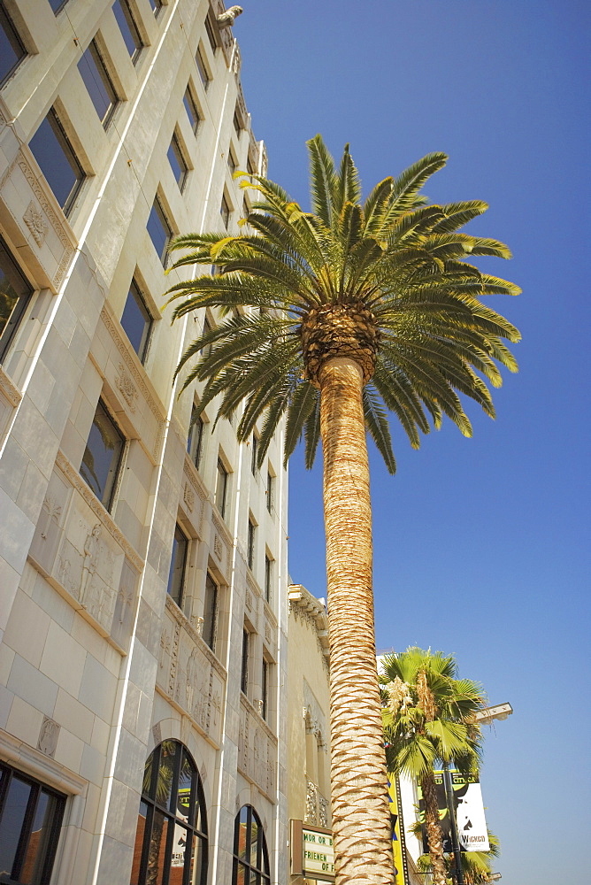 Low angle view of a building, Hollywood First National Building, Hollywood, Los Angeles, California, USA