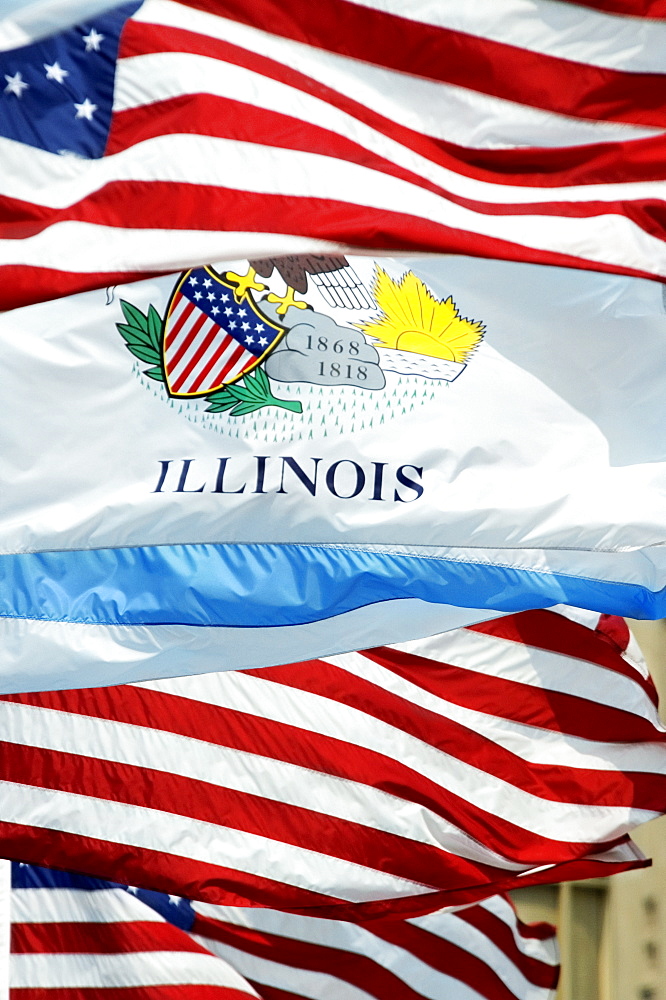 Close-up of flags of Illinois and America