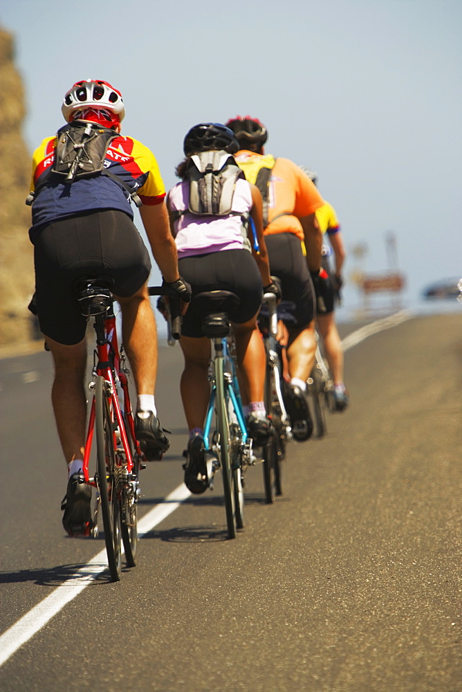 Rear view of a group of people cycling