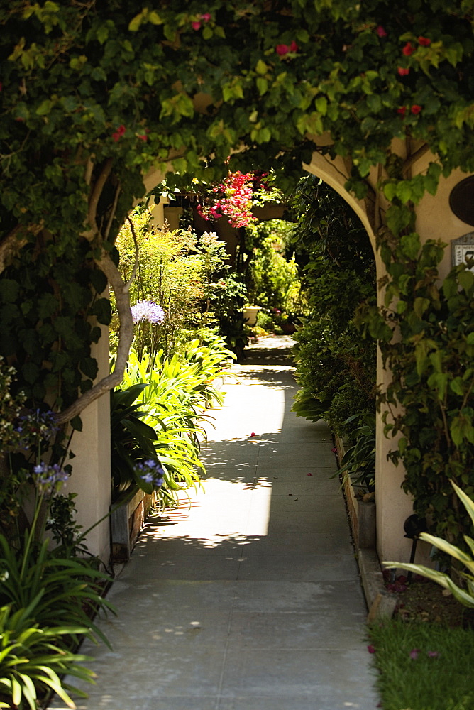 Ivy covered arched walkway, La Jolla, San Diego, California, USA