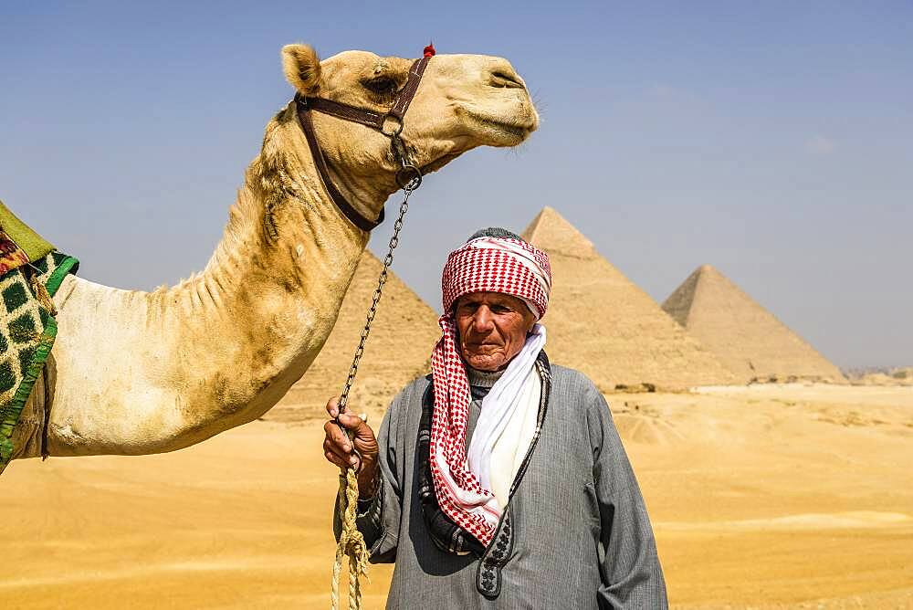 Three pyramids, monuments and burial tombs of the pharaohs, a tourist guide holding a camel