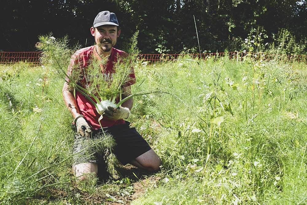 Farmer kneeling in a field holding freshly picked fennel.