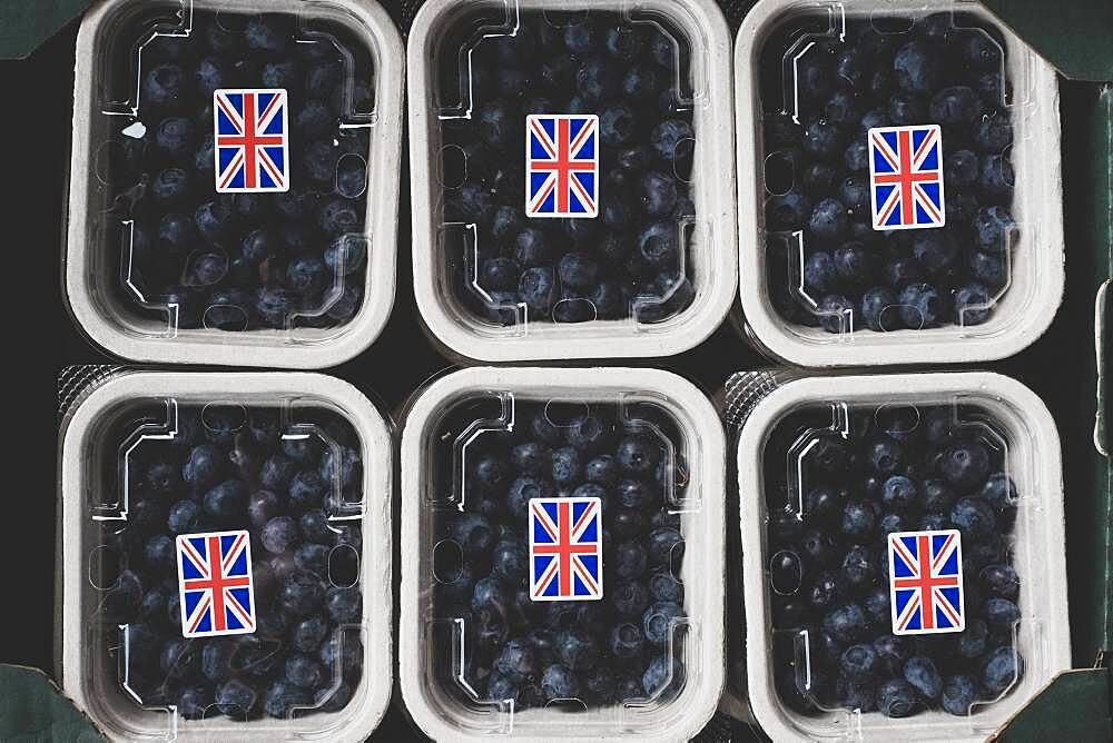 High angle close up of punnets of freshly picked blueberries.