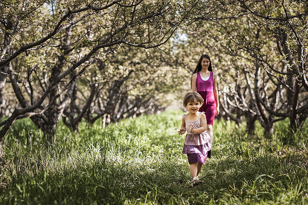 Two children walking in a woodland tunnel of overarching tree branches, Utah, USA