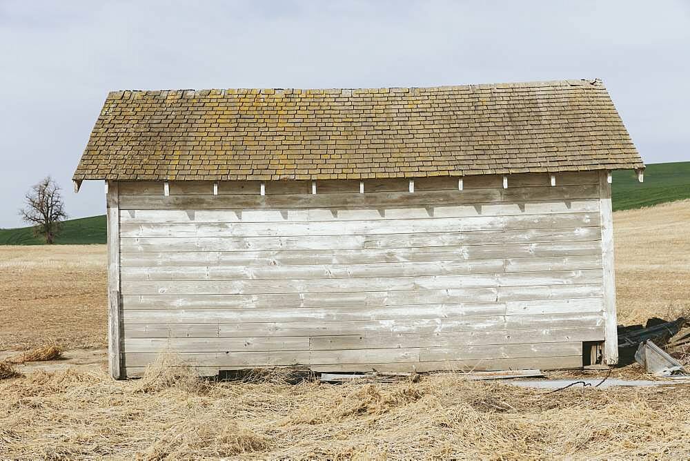 Abandoned homestead, near Endicott