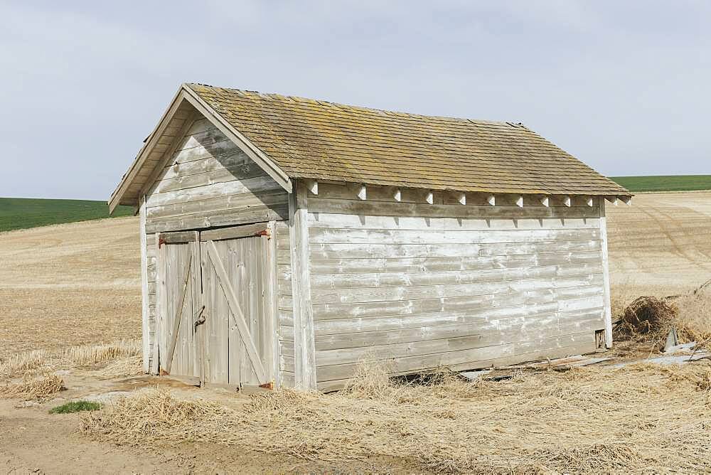 Abandoned homestead in a rural landscape