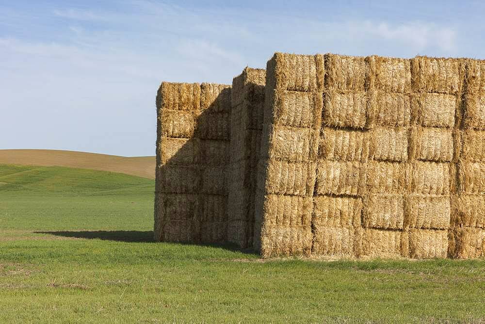 Large stack of hay bales in farmland